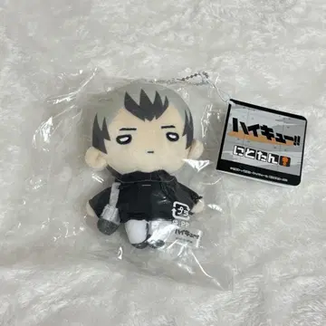 하이큐 dayoff 니토탄 봉제 인형 마스코트 키타 신스케