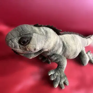 이구아나 봉제 인형 산애로우