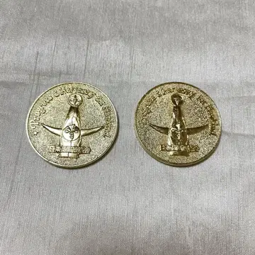 일본 만국 박람회 기념 메달 태양의 탑 오카모토 타로