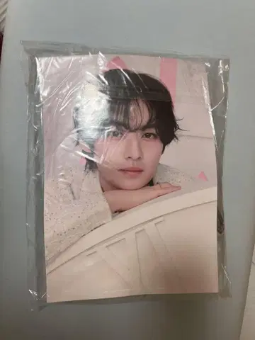 리노 비니 beanie 포스터 포함