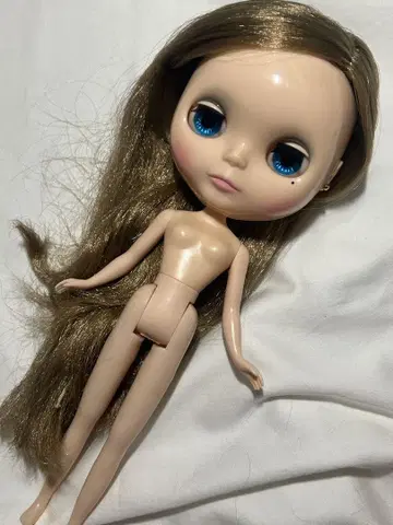 네오 브라이스 인형 본체 소체
