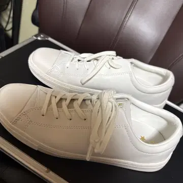 Converse All Star 화이트 스니커즈