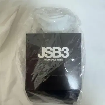 제3대 JSB 응원봉