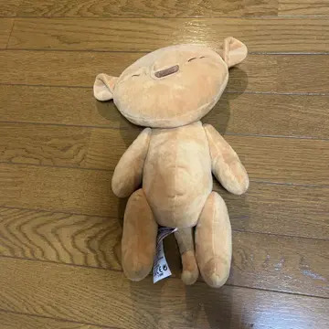 라이온킹 심바