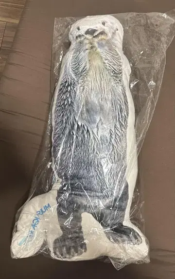 [ 새상품 ] 토바 수족관 메이짱 키라짱 랏코 쿠션
