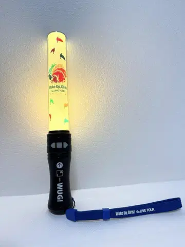 Wake Up, Girls! 4th LIVE TOUR 응원봉