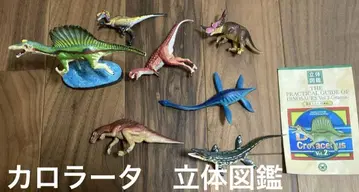 공룡 입체도감 피규어