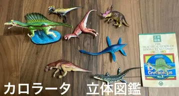 공룡 입체도감 피규어