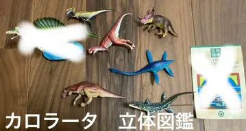 공룡 입체도감 피규어