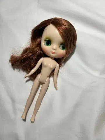미디 브라이스 소체 브라운 헤어 그린 아이