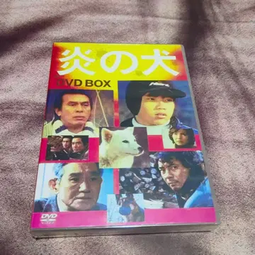 불꽃의 개 DVD-BOX (5장)