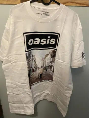 oasis MORNIMG GLORY T셔츠 XL