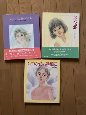 오타 케이분 화집 외 3권