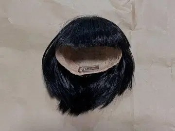 네오 브라이스 씨의 가발