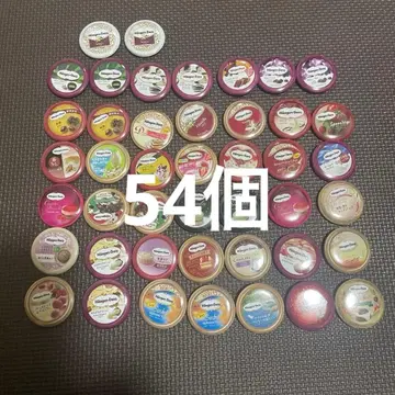 하겐다즈 캔 배지 44개 미개봉 2개 추가 미개봉 10개 플러스