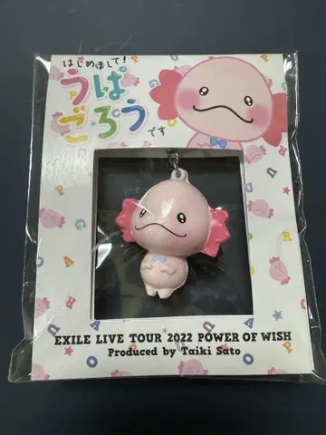 우하 고로 EXILE LIVE TOUR 2022 POWER OF WISH