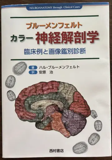 블루멘펠트 컬러 신경 해부학