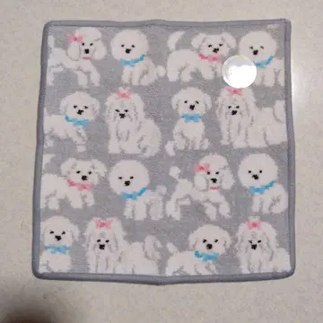 페이러 모후모후 원찬 손수건