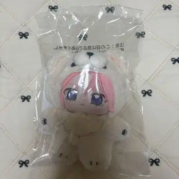 앙스타 이츠누이 오우카와 코하쿠