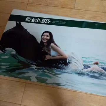 월간 사야 이치이 사야