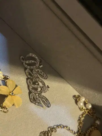 D&G 귀걸이