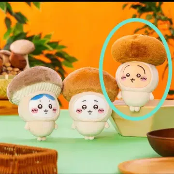 치이카와 (먼작귀) 계절이잖아 마스코트 (토끼)