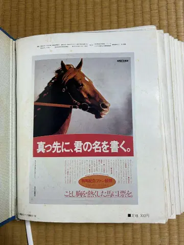 유슌 1980년 1~12월호 파일 포함