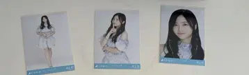 이노우에 카즈 오토리사마 텐고쿠 컴프