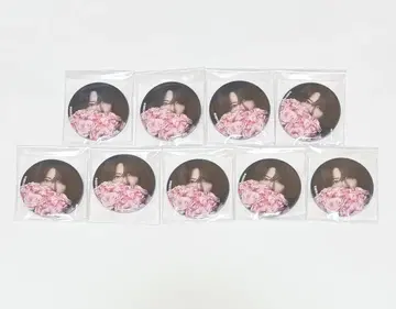 사토미 군 S's 앨범 애니메이트 특전 캔뱃지 실사