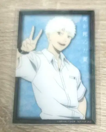 추첨회 빛이 죽은 여름 클리어 카드 히카루 특전 애니메이트 페어