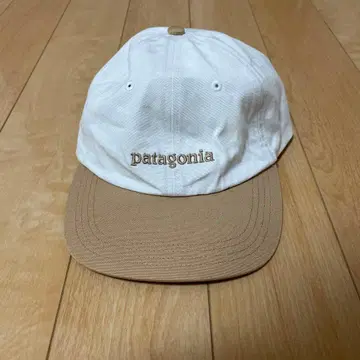 patagonia 캡 피츠로이 아이콘 트레디셔널 캡