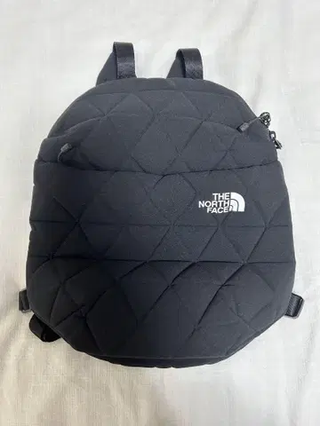 THE NORTH FACE 블랙 백팩