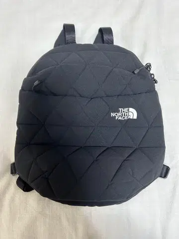 THE NORTH FACE 블랙 백팩