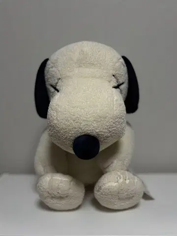 UNIQLO Kaws 봉제 인형 화이트 S사이즈 M사이즈 세트 스누피