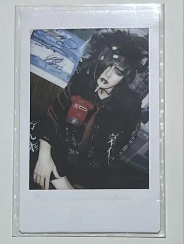 마미레타 벌 체키