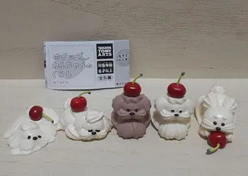휘핑 강아지의 생활 가챠 5종 컴플리트