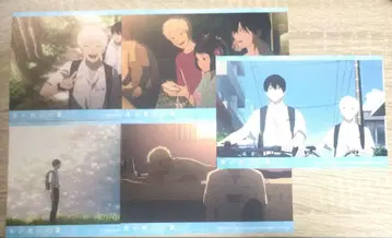 추첨회 빛이 죽은 여름 엽서 특전 애니메이트 페어 요시키 히카루