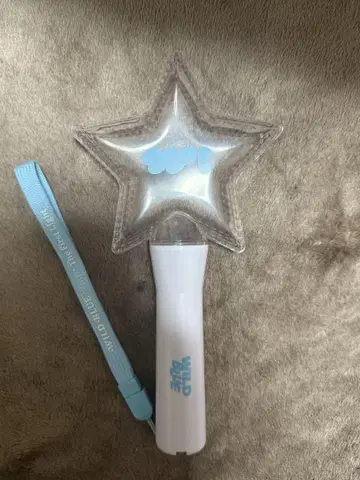 와일드 블루 응원봉