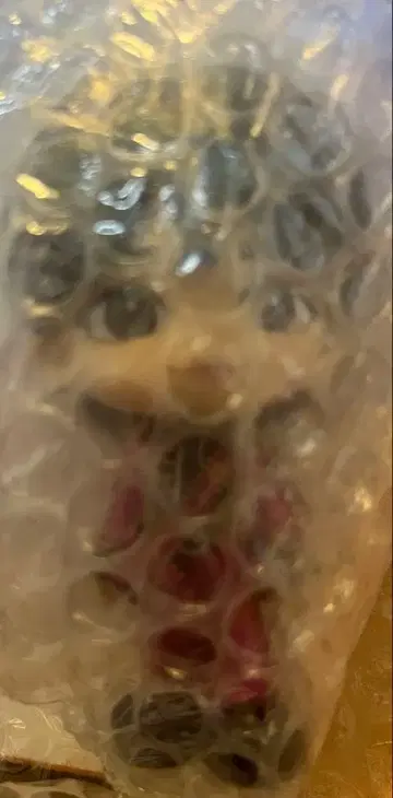 치넨 유리 노멀 컬러 피규어