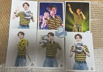GENIC GURU폰 아메미야 쇼 세트