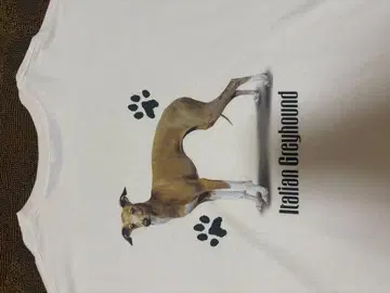이탈리안 그레이하운드 티셔츠 개