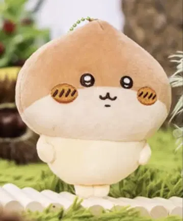 치이카와 (먼작귀) 계절이잖아 마스코트 밤만쥬