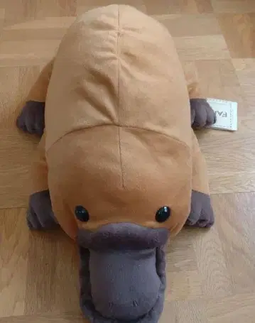 오리너구리 봉제 인형 XL 프리미엄