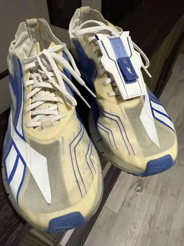 Reebok x cottweiler zig3d storm