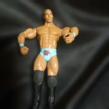 WWE 프로레슬링 피규어 메이븐