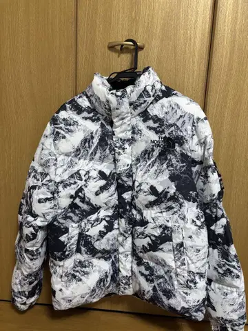 THE NORTH FACE 다운 자켓