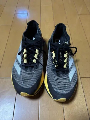 아디제로 보스턴 12