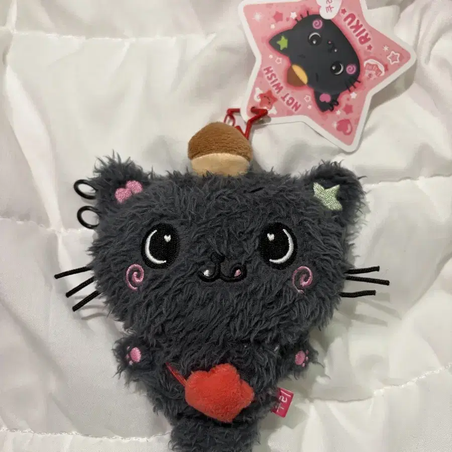 NCT | 엔시티 Nct wish riku Kuri bag character bag doll bag wts on