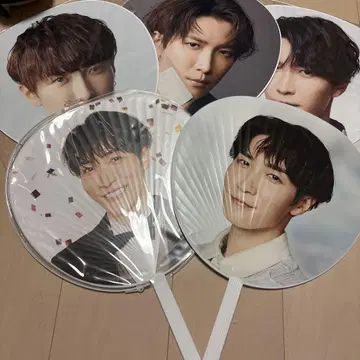 와타나베 쇼타 부채 5장 세트