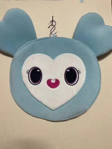 TWICE 나연 부채 케이스